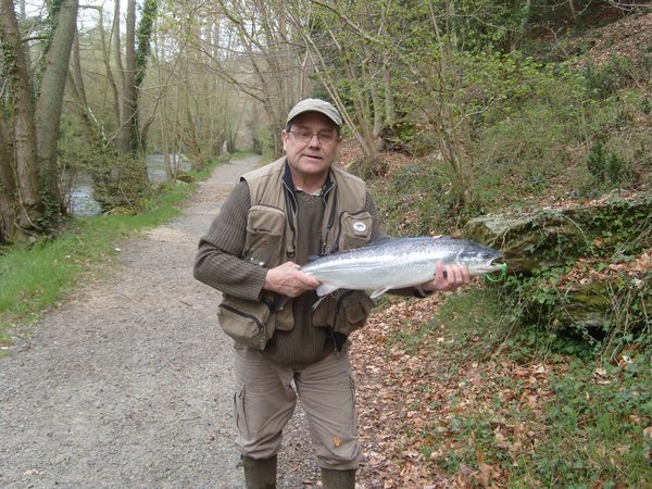 Saumon de printemps pêché à la cuiller Saumon de printemps pêché à la cuiller